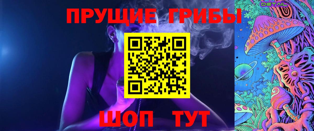 Псилоцибиновые грибы Psilocybe Переславль-Залесский