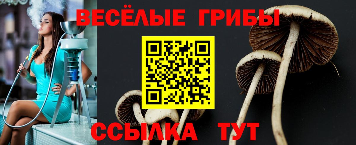 Переславль-Залесский  Псилоцибиновые грибы мицелий  Галлюциногенные грибы Magic Shrooms  Вход с VPN 